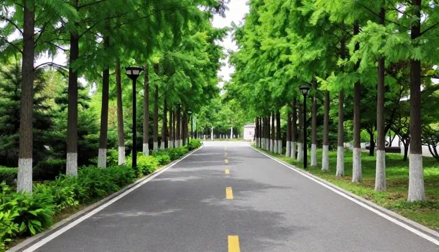 研学旅行交通便利性对合作关系构建的影响