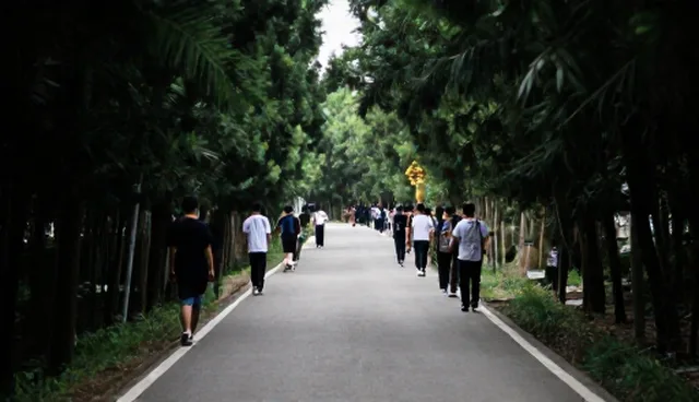 研学旅行安全管理中的包车出行检查要点